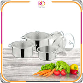 Alpha Steel Cooking Pot Set – Premium 4-Piece Double Bottom Stainless Steel with Glass Lids - Kingbazar.pk